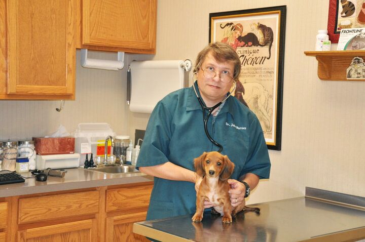 Veterinarian in Waynesboro, PA | Wayne Heights Animal Hospital